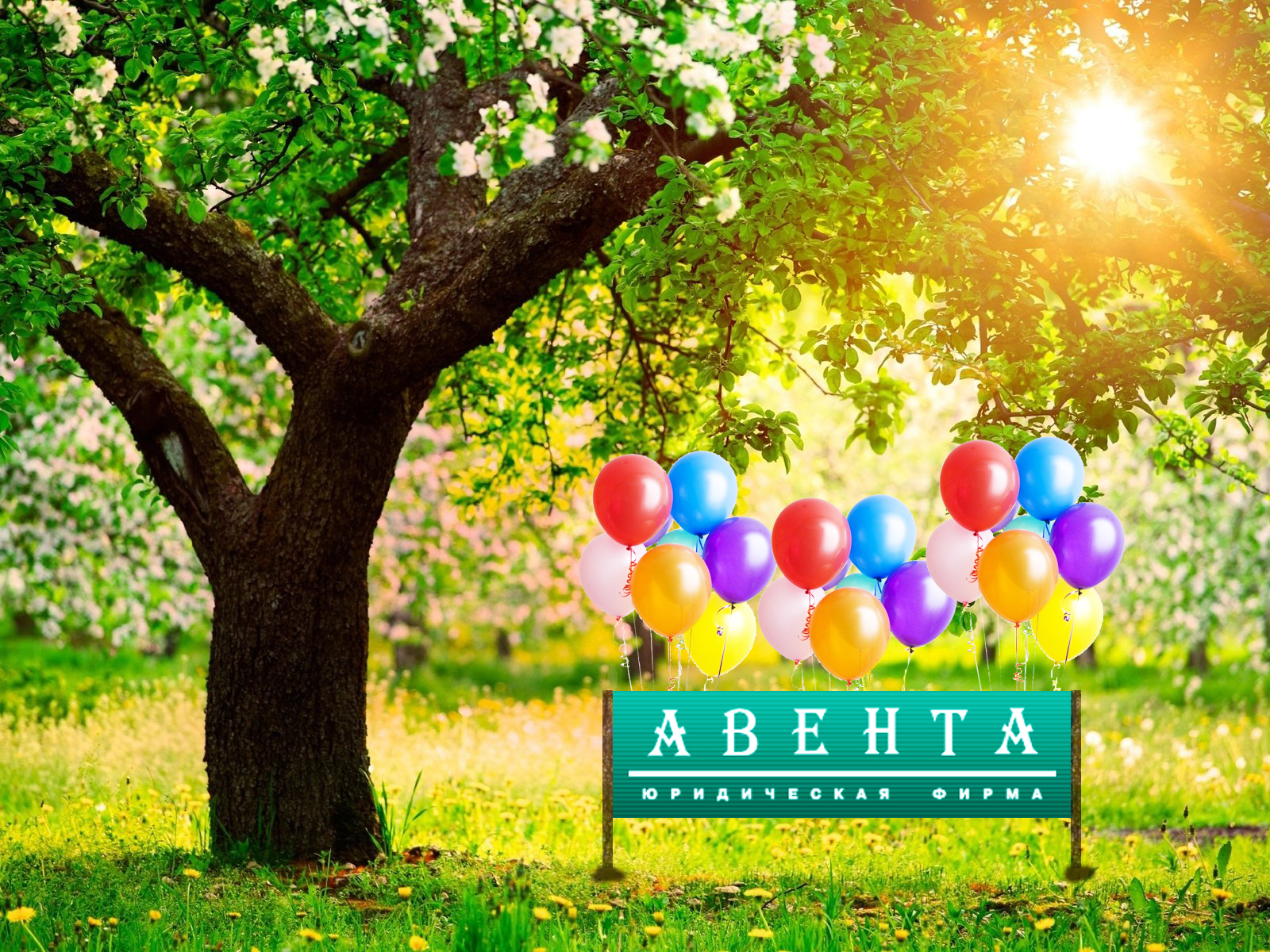 Happy birthday AVENTA