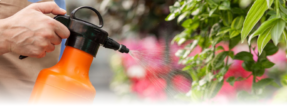 Решение для СЗР